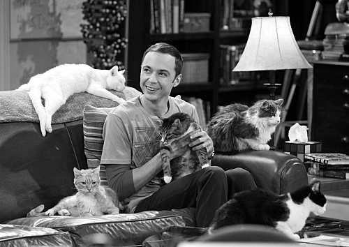 Sheldon Cooper: el friki que rescató una serie