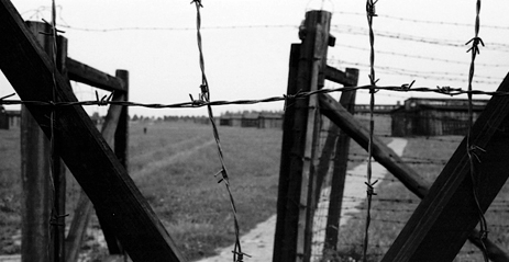 Los faisanes de Majdanek