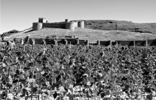 Días de verano en el páramo: castillos del Duero