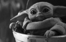 Baby Yoda y la neotenia