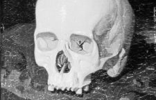 Cráneo de Goya detalle por Dionisio Fierros disloques